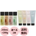 ホーユー プロマスター カラーケア シャンプー＆ヘアトリートメント 選べるセット / 250mL 200g