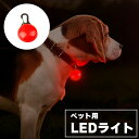 【カラー/レッド】ペット用 LED発光ペンダント 散歩 夜 安全 事故防止 電池式