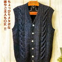 編み物 キット メンズケーブルベスト 編み図/ボタン付き 手編み キット ハマナカ hama 手芸の山久