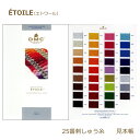 DMC ?TOILE エトワール ラメ入り 刺しゅう糸 25番糸 見本帳 W617 ディーエムシー ETOILE ネコポス可 手芸の山久