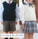 編み図付きキット シンプルVネックベスト 110cm N-1722 ベスト 子供 編み物 手作りキット ハマナカ hama 手芸の山久
