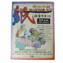 夏休み 工作 紙すきセット 草紙草愛紙漉きキット A3サイズ用 SOKK-2 夏休み 工作 キット 子ども手芸 アルテ 手芸の山久