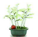 盆栽 ミニ 山久オリジナルビーズ盆栽キット 白樺(しらかば) bfk ym9 手芸の山久