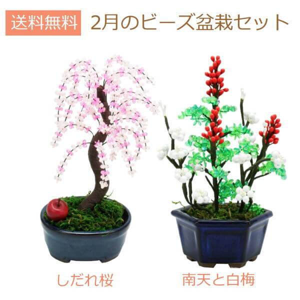 �ߺ� �ߥ� ��������ӡ����ߺϥ��å� ���ץ��ꥸ�ʥ� ��ݤλ���