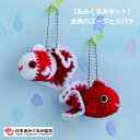 あみぐるみ キット 金魚のスージとタバサ KIT-KAT-01 あみもの工房k-knit あみぐるみ 手芸キット 日本あみぐるみ協会 KOU