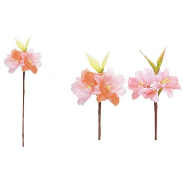 �����ܥ� �ԥå������� ��4��16cm��20����