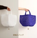 編み図付き(1S-0505) 細編みバッグ キット Placord 3ply 手編み バッグ 編み物 手作り キット ダルマ毛糸 ダルマ 毛糸 横田 darum...