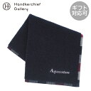 アクアスキュータム メンズ タオルハンカチ ヘムチェック ネイビー │ Aquascutum アクアス ギフト プレゼント プチギフト 贈り物 内祝い 記念日...