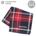 アクアスキュータム メンズ タオルハンカチ チェック ネイビー │ Aquascutum アクアス ギフト プレゼント プチギフト 贈り物 内祝い 記念日 誕...