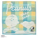 スヌーピー 表ガーゼ・裏タオルハンカチ パステルチェック グリーン │ PEANUTS ピーナッツ ギフト プレゼント プチギフト 贈り物 内祝い 記念日 誕...