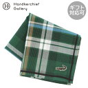 クロコダイル メンズ ハンカチ タータンチェック グリーン │ CROCODILE ギフト プレゼント プチギフト 贈り物 内祝い 記念日 誕生日 退職 退職祝...