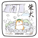 ビーエヌラボ スマホ・メガネ拭き ハンカチ 日本 温泉柴犬 ホワイト │BNLABO 日本 名所 ジャパン ギフト プレゼント プチギフト 贈り物 内祝い 記念日 誕生日 退職 退職祝い 内祝い お礼 お返し 遅れてごめんね