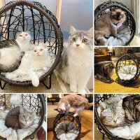 ペットベッド Kakurembo Square Type ドライブ かくれんぼ 四角タイプ 猫 かわいい ペットベッド 小型犬 ベッド 冬 暖かい ハウス ドーム型 かわいい おしゃれ 手作り 高級感 プレゼント 記念 キャットハウス スツール 座れる テーブル ラタンペットベッド ペット ペットベッド Kakurembo Square Type ドライブ かくれんぼ 四角タイプ 猫 かわいい ペットベッド 小型犬 ベッド 冬 暖かい ハウス ドーム型 かわいい おしゃれ 手作り 高級感 プレゼント 記念 キャットハウス スツール 座れる テーブル ラタンペットベッド ペット
