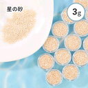 レジン封入 星の砂 3g ケース入り 夏 海 ハンドメイド パーツ アクセサリー アクセサリーパーツ 沖縄県産 天然 素材 ハンドメイド材料 海作品 海塗り 貝...