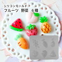 シリコンモールド フルーツ 野菜 6種 レジン型 果物 食べ物 カボション パイナップル ぶどう スイカ 桃 イチゴ にんじん バッグチャーム アクセサリー キーホルダー キッズアクセ クラフト ハンドメイド