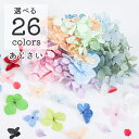 【封入花材】 小分け あじさい ドライフラワー 26色 展開 アジサイ レジン プリザーブドフラワー レジンクラフト 花 天然素材 ハーバリウム レジン封入 ハ...