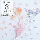 【小分け】ソフトミニカスミ草 かすみ草 フレア パステル 封入 花材 ドライフラワー お花 資材 撮影用 フラワー 封入材 封入素材 資材 ハンドメイド オレン...