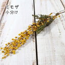 ドライフラワー サシェ スワッグ アロマワックス 素材 材料 飾り付け ミモザアカシア レジンアクセサリー クラフト 花