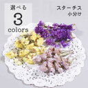 小分け ドライフラワー 花材『スターチス』インテリア アレンジ 壁掛け インテリアフラワー ハーバリウム スワッグ アロマサシェ アロマワックス 小花 キャンド...