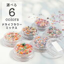 【ドライフラワー レジン封入】 花材 ドライフラワー 小さめ 花びら ミックスカラー レジン 材料 ハンドメイド 手芸 レジンアクセサリー ハンドメイドアクセサリー ヘアクリップ お花 資材 ヘアアクセサリー