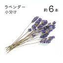 【小分け】ラベンダー ドライフラワー 大地農園 ハンドメイド レジン ハーバリウム 小さいお花 レジン封入 封入素材 カスミソウ サシェ アクセサリー スワッグ...