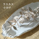 【小分け】ドライフラワー 花材 ラスカス プラチナ レジン封入素材 少量 ドライフラワー ハンドメイド 花材 封入 天然素材 スワッグ リース パーツ 材料 素...