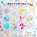 かすみ草 つぼみ 12色セット レジン用花材 小分け お得 花材 セット ミックス ニュアンスカラー くすみカラー 人気 フラワー レジンクラフト アレンジ ハ...