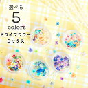 【花材】ドライフラワー MIX 封入 ケース入り 5種類 レジン用 花 ドライ 材料 素材 ハーバリウム 小さいお花 少量 アクセサリー レジン封入素材 ネイル...