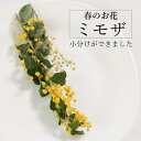 【小分け】 ドライフラワー ミモザ 花材 葉つき イエロー ミモザデニスボーデン レジン 封入素材 ハーバリウム ドライフラワー サシェ アロマワックス 素材 ...
