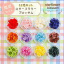 ドライフラワー 花材 スターフラワー ブロッサム12色セット ケース入り レジン封入素材 使い切りやすい 少量 人気商品 レジンアクセサリー ハンドメイド 封入 天然素材 パーツ アクセサリー 材料 ハーバリウム 小さいお花 ネイルアート 小花(4)