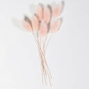 小分け ハニーテール エンジェルピンク ドライフラワー 花材 ピンク ハーバリウム リース スワッグ インテリア 材料 プリザーブドフラワー フラワーアレンジメ...