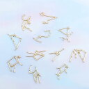 星座 チャーム 12個セット ゴールド レジン クラフト 封入素材 メタルパーツ ハンドメイド アクセサリーパーツ 12星座 星占い 宇宙 牡羊座 牡牛座 ふた...