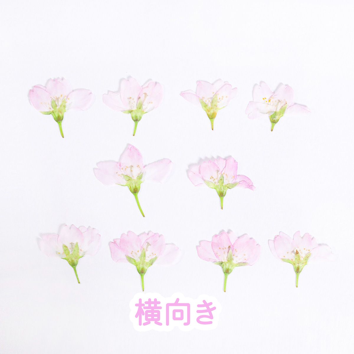 楽天市場】レジン 桜 花びらの通販 楽天市場】レジン 桜 花びらの通販