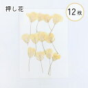 押し花 イエロー 素材 ドライフラワー 12枚入り 封入 デコ 自然素材 お花 レジン レジン用花材 ドライ 花材 材料 素材 小さいお花 少量 レジン封入素材...