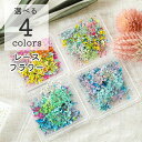 【ドライフラワー レジン封入】 花材 レースフラワーMIX 封入 四角 ケース入り 4種類 レジン 材料 ハンドメイド 手芸 レジンアクセサリー ハンドメイドア...