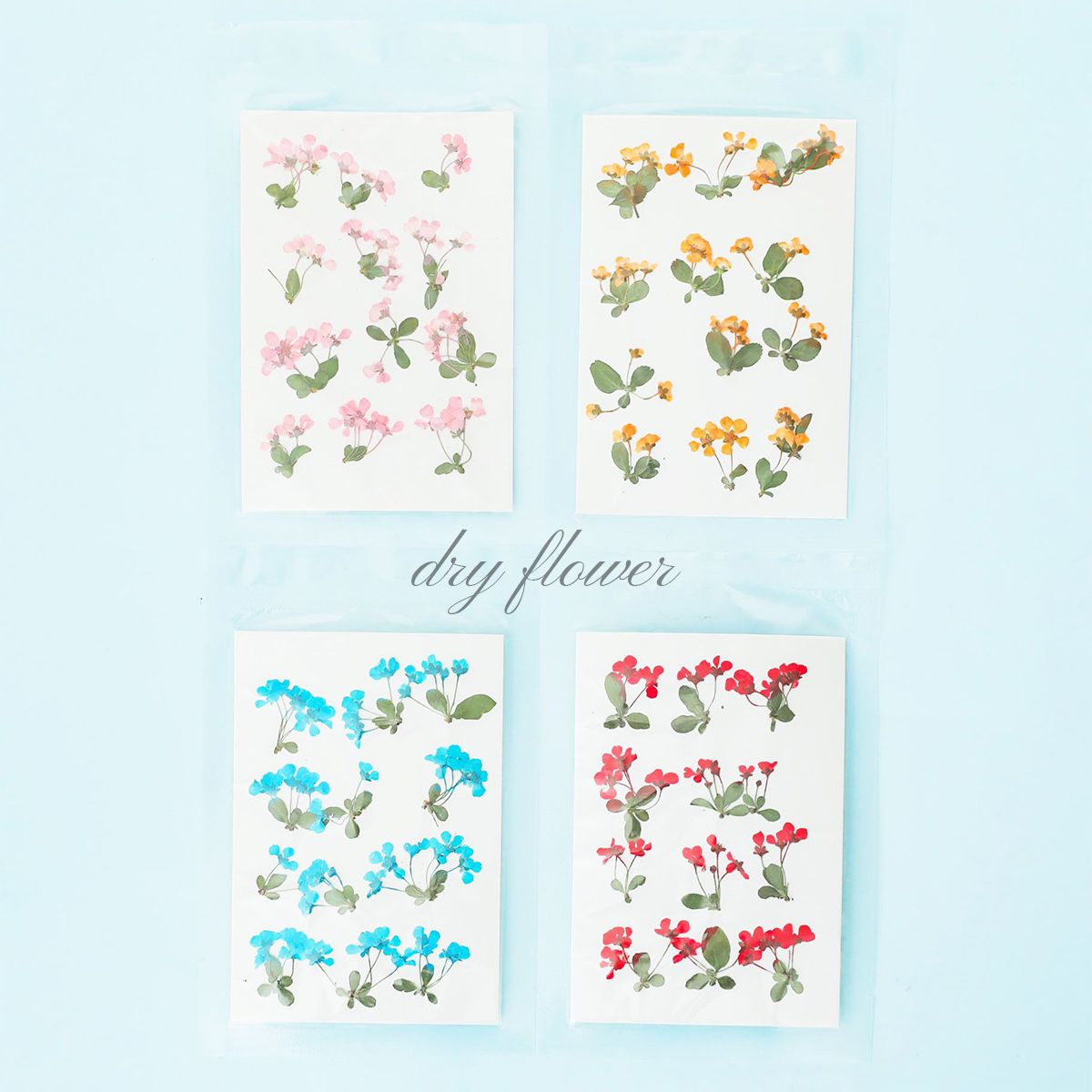 【押し花】 素材 ドライフラワー 葉付き 12枚入り 4色 レジン封入 小分 花 レジン レジン用花材 ドライ 花材 材料 素材 小さいお花 少量 ネイル素材 スマホケース花材 ハンドメイドアクセサリー ヘアクリップ バレッタ 制作 手芸