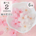 【花材 小分け】 桜の花びら 6枚入り さくら プリザーブドフラワーレジン封入 花 花びら 桜 フラワー 封入 日本産 国産 立体 最高級 希少 本物のお花 天...