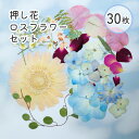 【数量限定】 国産 押し花 ロスフラワー セット 押し花 ハンドメイド 封入 パーツ お花 アップサイクル お得 30輪 レジン インテリア 封入素材 資材 ド...