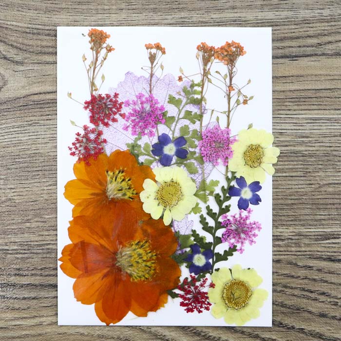 【押し花 レジン封入】押し花　素材　ドライフラワー　オレンジミックス　ノースポール　レースフラワー　押し花アソート　スマホケース　材料　レジン デコパーツ 花　キット　貼り絵　コラージュ　A6