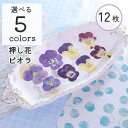【押し花 レジン封入】ビオラ 約12枚 4色 ドライフラワー 花 レジン レジン用花材 ドライ 花材 材料 素材 小さいお花 少量 レジン封入素材 ネイル素材 ...