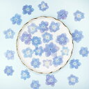 ☆NEW☆ 押し花 八重咲き 紫陽花 パープル 10枚 mflower ドライフラワー 日本製 レジン 封入 花材 素材 ハンドメイド アクセサリー ピアス ネックレス スマホケース 花材