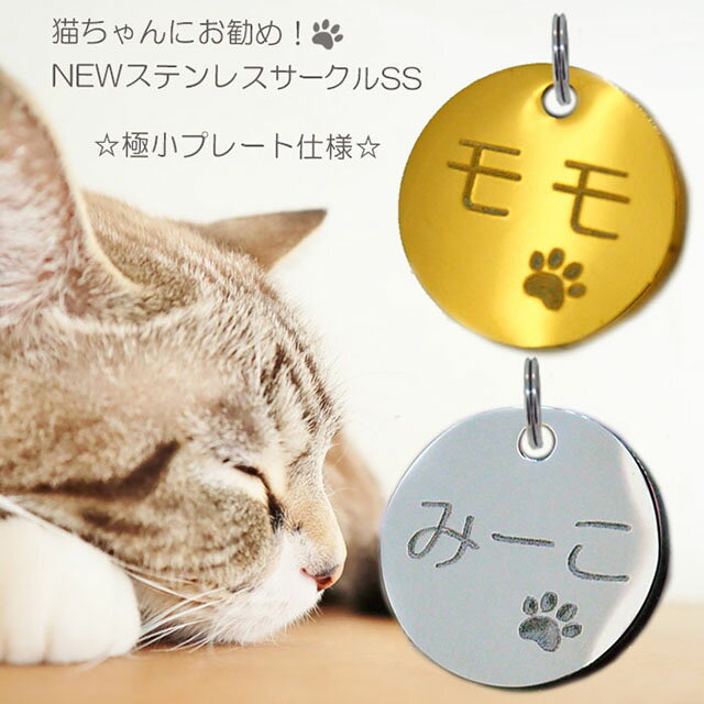 【クーポン有】 岡野 ピカスズL 青 ブルー ベル カラフル 猫用 超小型犬用 グッズ 首輪 鈴（メール便） 他お試しフードサンプル有 AM0