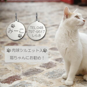 迷子札 肉球 シルエット入 ネコ 猫ちゃん用 極小タイプ ネーム プレート ステンレスサークルSS