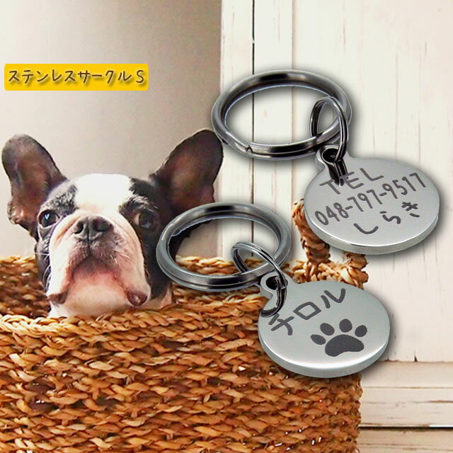 »һ ڥåȥ Ѥˡ ƥ쥹S