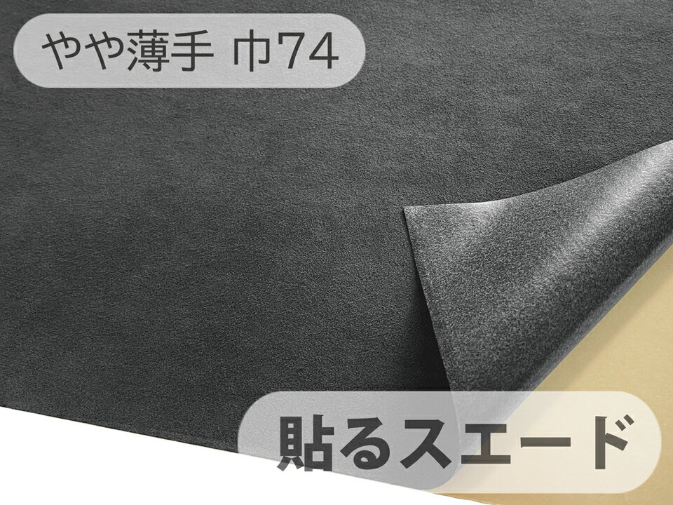 74cm1Mñ̡Ž륹ɡʥ륿ס Ǿ ͹  ڥ졼֥å  ۡ᡼ȥ...