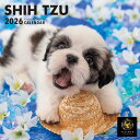 【2026年版・壁掛】 ピクトワン(PICTWAN) シー・ズー S版 S043