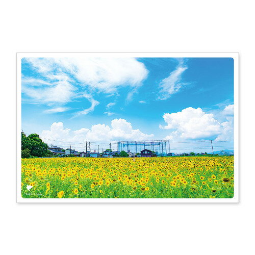 いろは出版　日本の絶景ポストカード　夏　JPC-78　佐賀市ひょうたん島公園│カード・メッセージカード　ポストカード(写真)