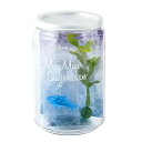 【お買い得】 プリーズ ミニ水族CAN ジンベエザメ PM384