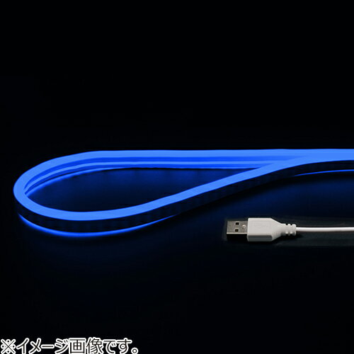 ���ܥȥ饹�ȥƥ��Υ�������USB�ͥ�����塼�֥饤�ȡ�1m��NEONLT1M��BL���֥롼