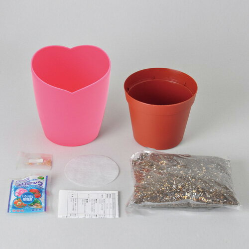 聖新陶芸　摘みたていちご栽培セット　GD1000